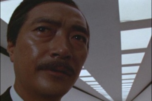 PDVD_025.jpg