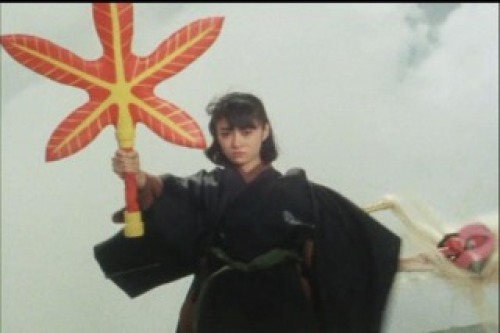 PDVD_029.jpg