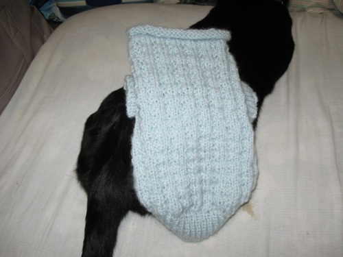 猫のセーター3.jpg