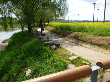 20120502GW韓国旅行33.jpg