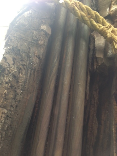 hakusan7.jpeg