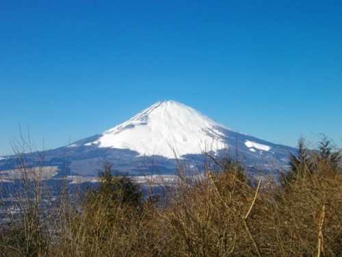 乙女峠展望台富士山 (2).JPG
