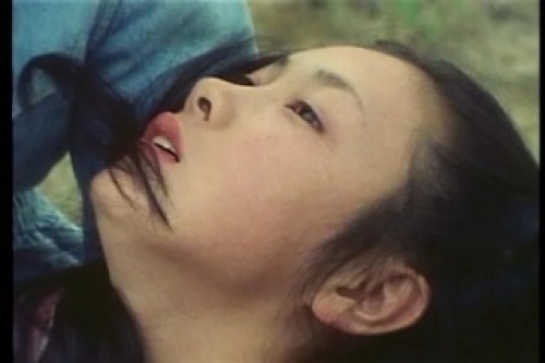 PDVD_011.jpg