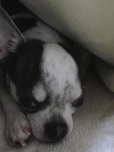 20150124 自宅3.jpg