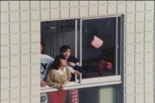 PDVD_305.jpg