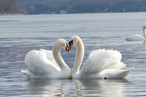 2013 01 13_5997_edited-1.jpg