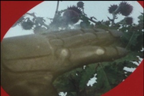 PDVD_041.jpg