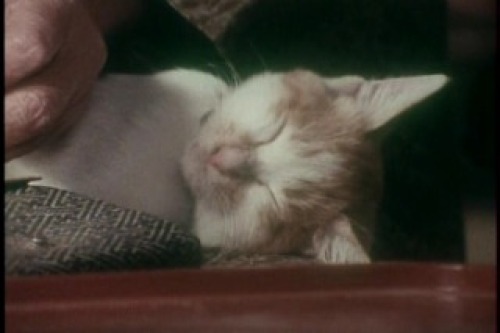 PDVD_002.jpg
