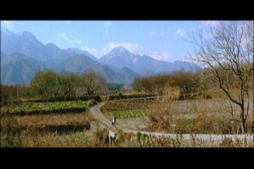 PDVD_002.jpg