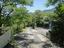 エルルカン1.jpg