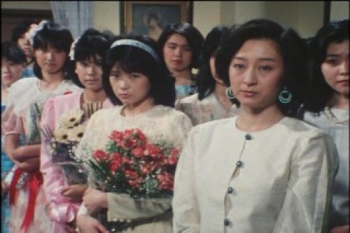 PDVD_031.jpg