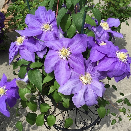 2016-04-26 13.19.58.jpg