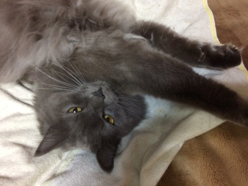 IMG_8707 - コピー.JPG