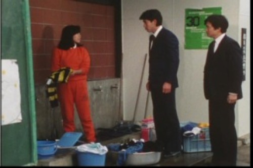 PDVD_075.jpg