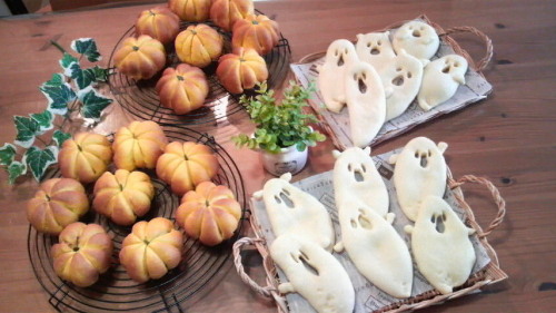 2012102313500001.jpg