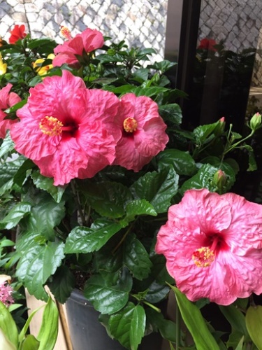 2015.7.18.2.jpg