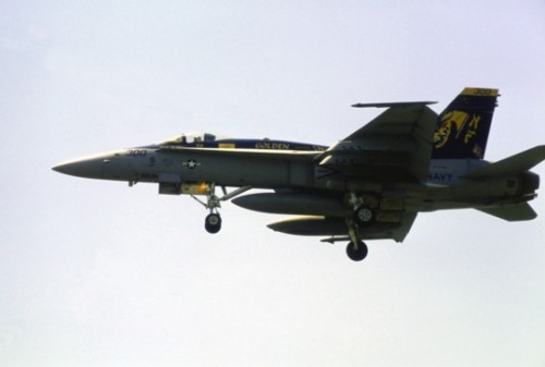 FA-18C 300番(07.5.3厚木)その1