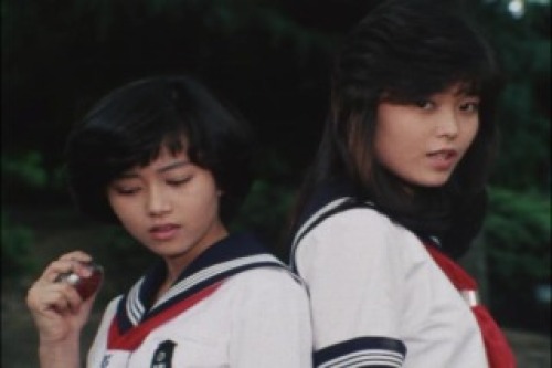 PDVD_021.jpg