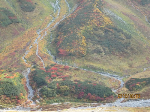IMG_3287紅葉1.jpg