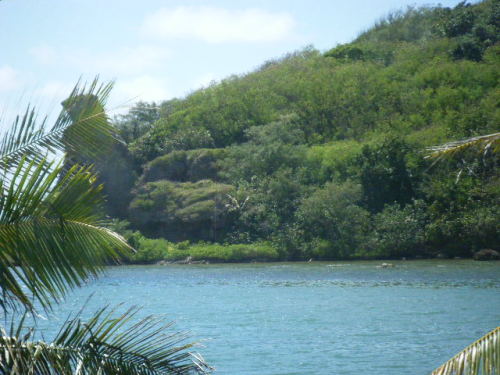 グアム旅行 くまさん岩 (1).JPG