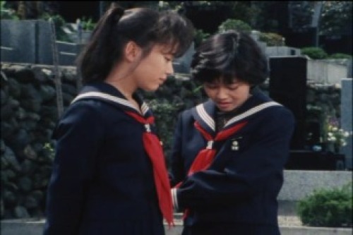 PDVD_008.jpg