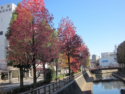 秋色の大垣 水門川からむすびの地まで おおがき紅葉めぐり３ 大垣市ブログ 楽天ブログ