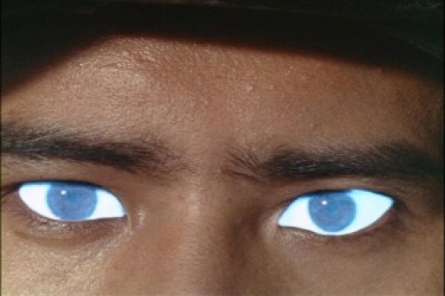 PDVD_007.jpg