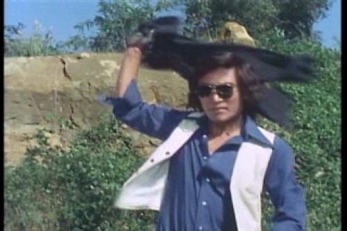 PDVD_011.jpg