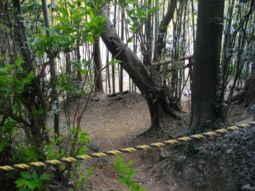 小机城大手腰曲輪 (500x375).jpg