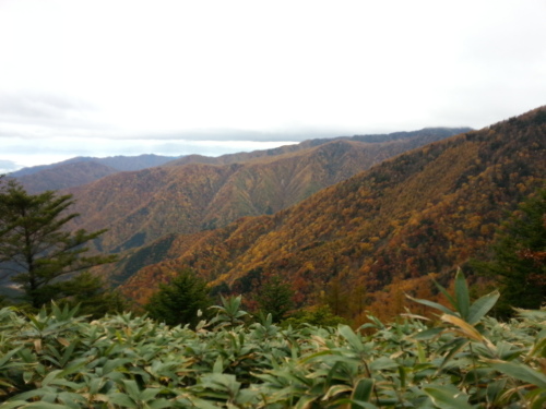 恵那登山道紅葉.jpg