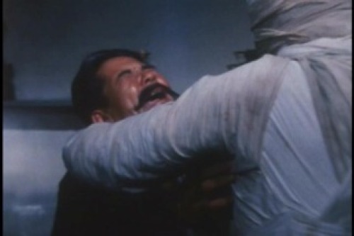PDVD_009.jpg
