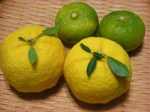 DSCN2079 (300x225).jpg