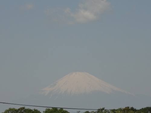 富士山（里山公園).JPG