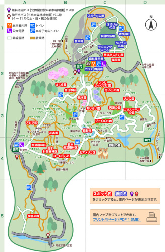 神戸市立森林植物園.jpg