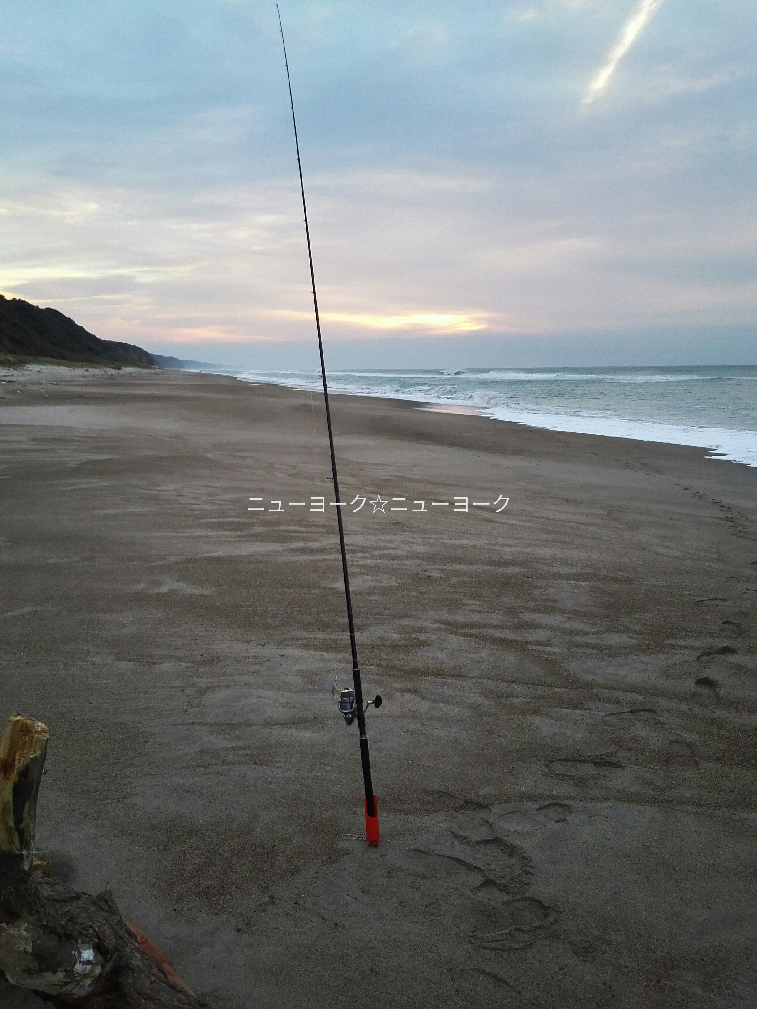 釣具 愛知の釣って食べるブログ 楽天ブログ