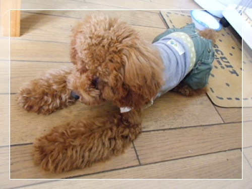 DSCF4889.JPG