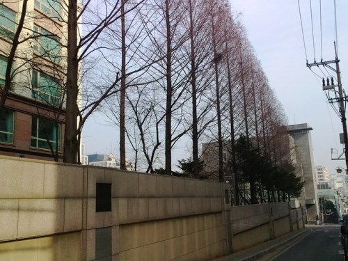 2017-01-19 12.37.55.jpg