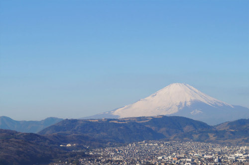2013.01.11.03.jpg