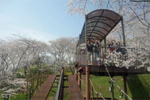 船岡26.jpg