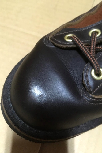 DANNER LIGHT  LOVEJOY 30445　メンテ8.JPG