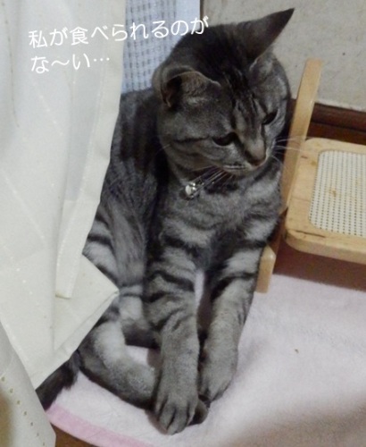 20150707_2.jpg