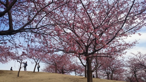 CYMERA_20170404_104133.jpg