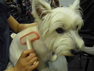 DSCN4359.jpg