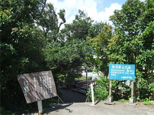 屋久島102.jpg