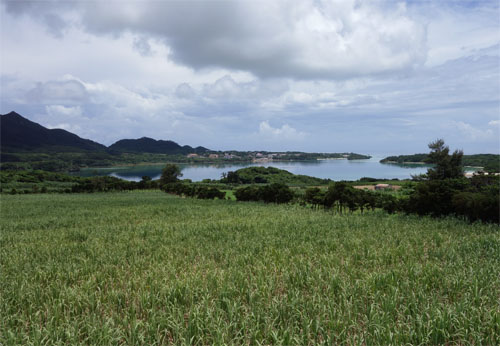 石垣277.jpg