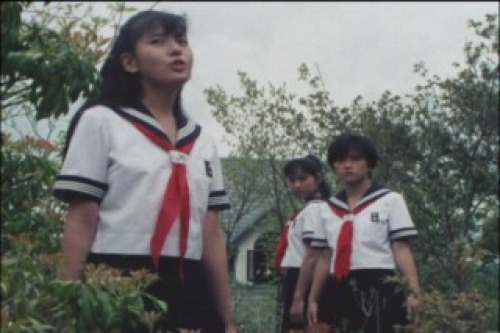 PDVD_012.jpg