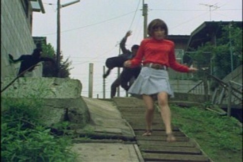 PDVD_026.jpg