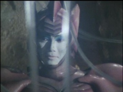 PDVD_022.jpg