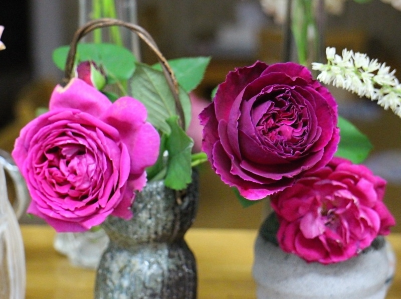 切りバラ バラと可愛い花たち 楽天ブログ