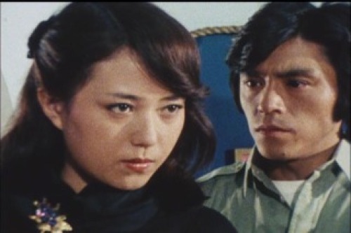 PDVD_013.jpg
